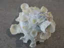 DSCN1070.webp