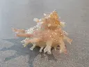 DSCN1117.webp