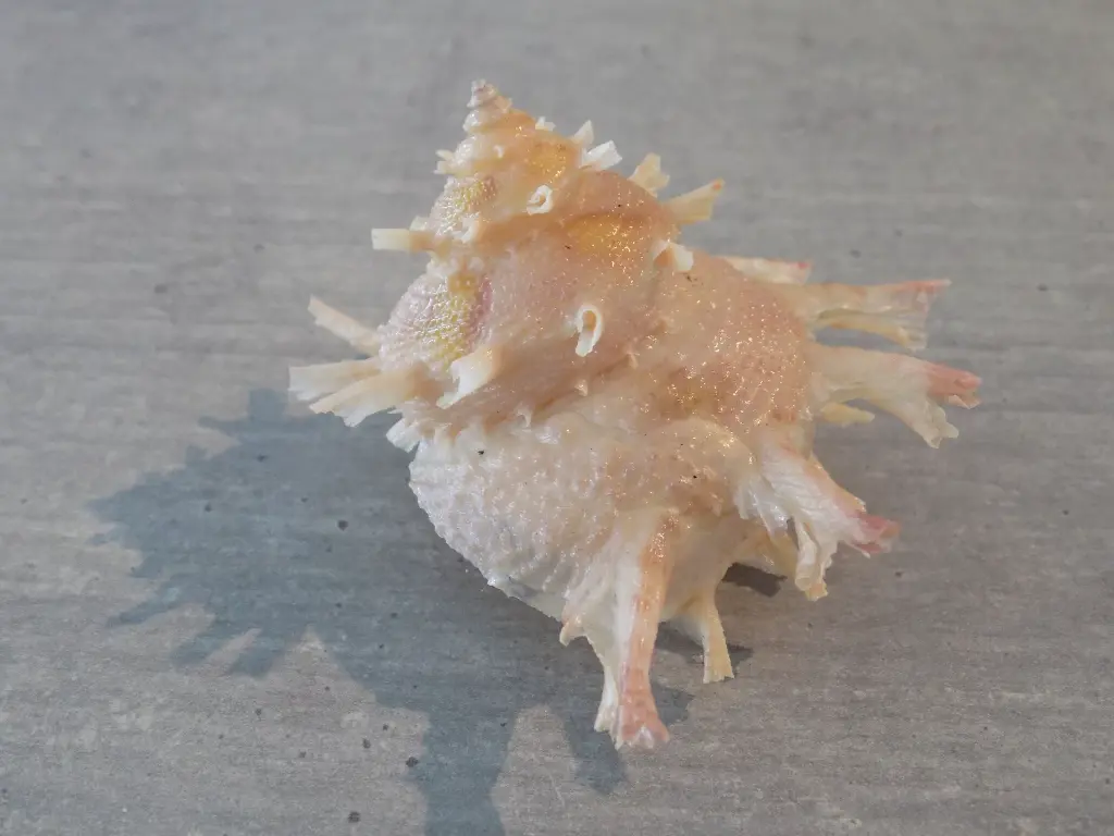 DSCN1118.webp