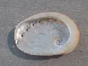 DSCN1114.webp