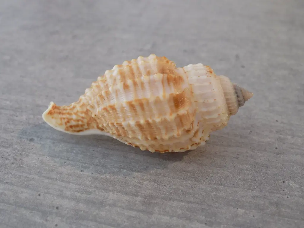 DSCN1122.webp