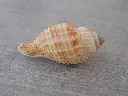DSCN1122.webp
