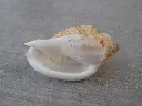 DSCN1123.webp