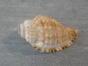 DSCN1124.webp