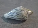 DSCN1134.webp
