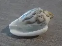 DSCN1135.webp