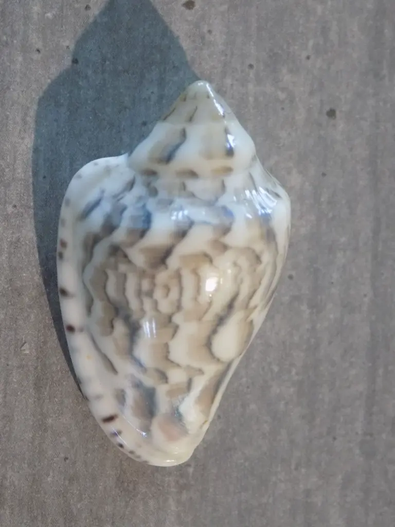 DSCN1136.webp