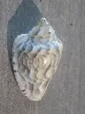 DSCN1136.webp