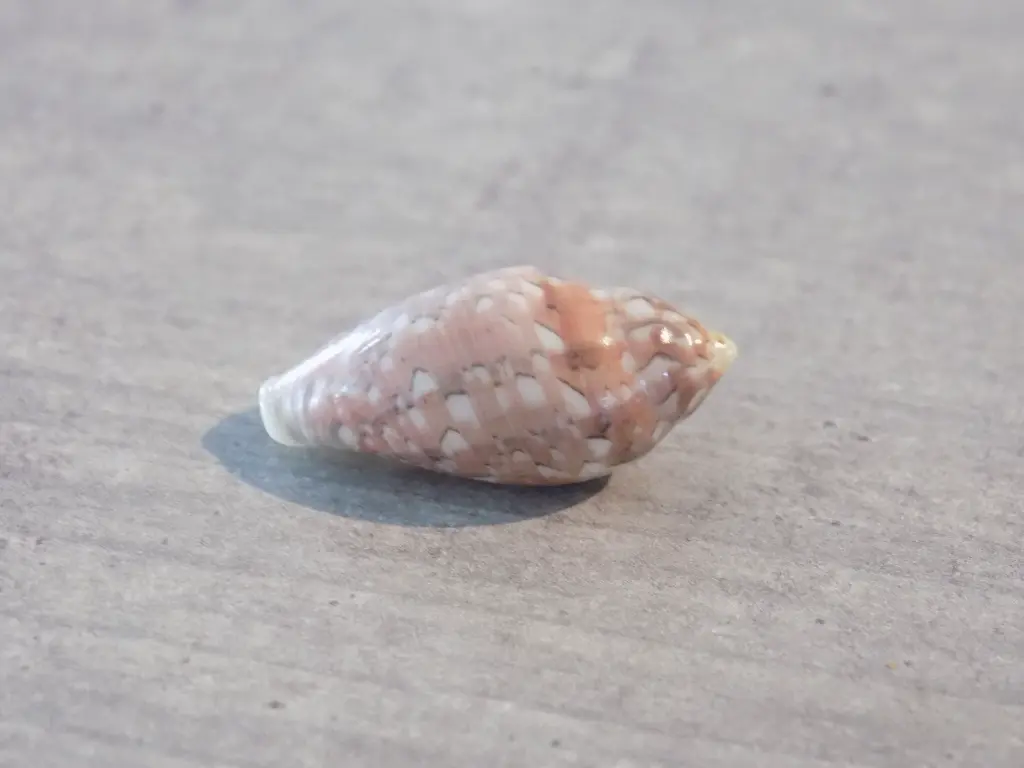 DSCN1130.webp