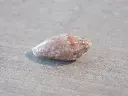 DSCN1130.webp