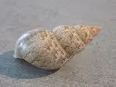 DSCN1144.webp