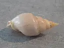 DSCN1148.webp