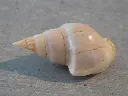 DSCN1149.webp