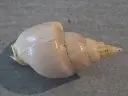 DSCN1150.webp