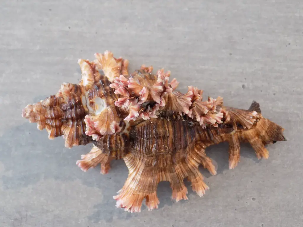 DSCN1108.webp