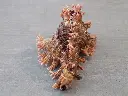 DSCN1109.webp