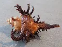 DSCN1098.webp