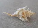 DSCN1086.webp