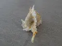 DSCN1088.webp
