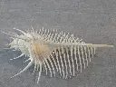 DSCN1082.webp