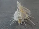 DSCN1083.webp