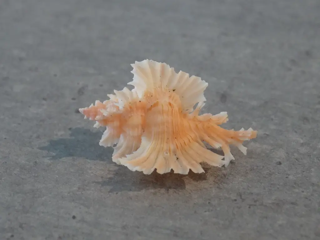 DSCN1153.webp