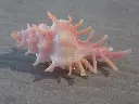 DSCN1159.webp