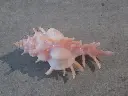 DSCN1160.webp