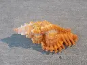 DSCN1164.webp