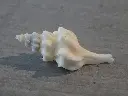 DSCN1166.webp