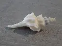 DSCN1167.webp