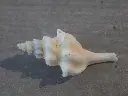 DSCN1168.webp