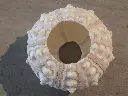 DSCN1171.webp