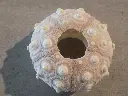 DSCN1172.webp