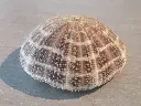 DSCN1174.webp