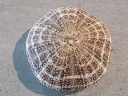 DSCN1176.webp