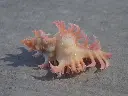 DSCN1178.webp