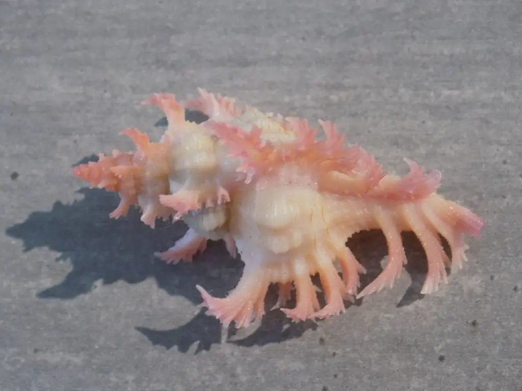 DSCN1180.webp