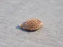 DSCN1195.webp