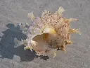 DSCN1185.webp