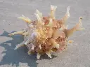 DSCN1188.webp
