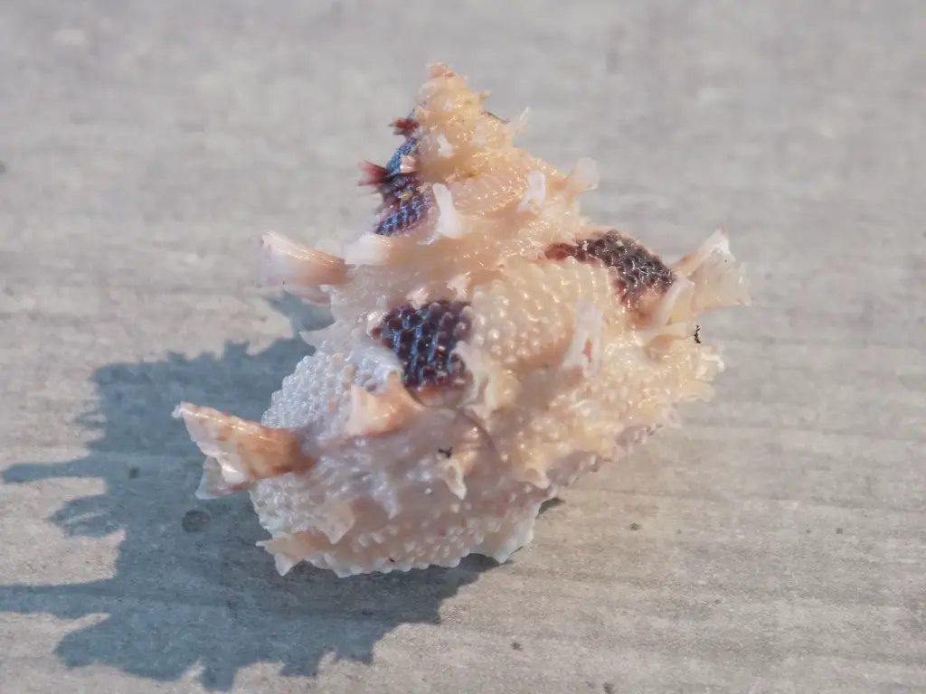 DSCN1190.webp