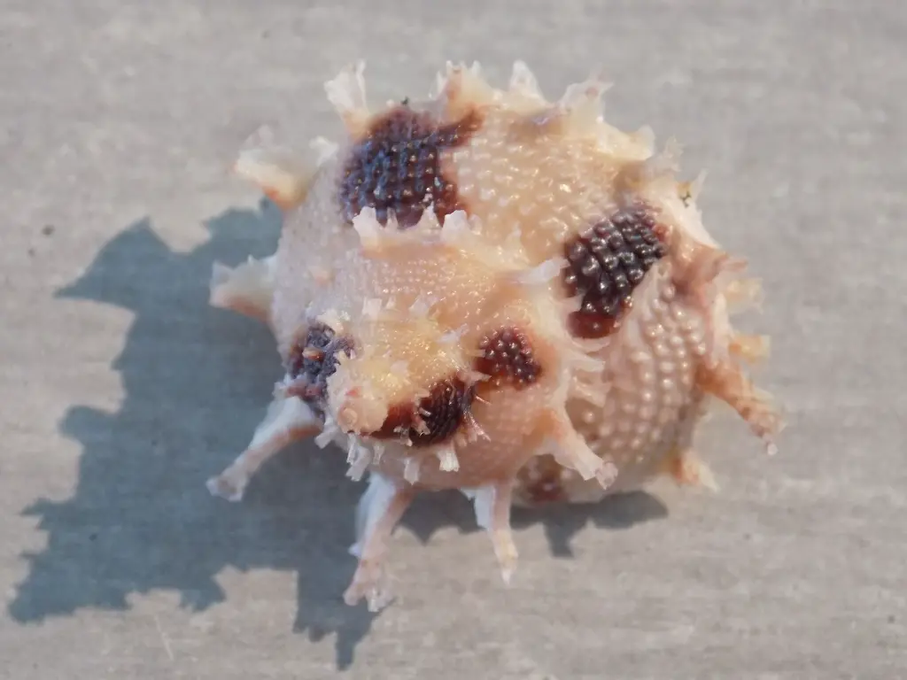 DSCN1193.webp
