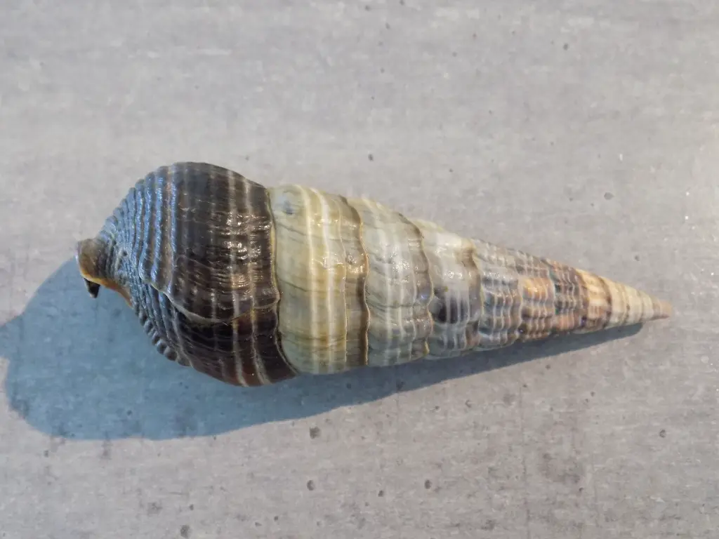 DSCN1220.webp