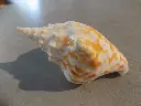 DSCN1251.webp
