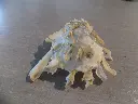 DSCN1257.webp
