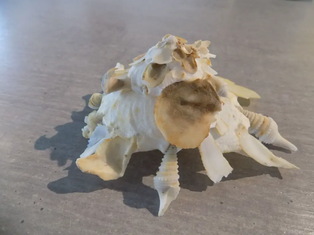 DSCN1258.webp