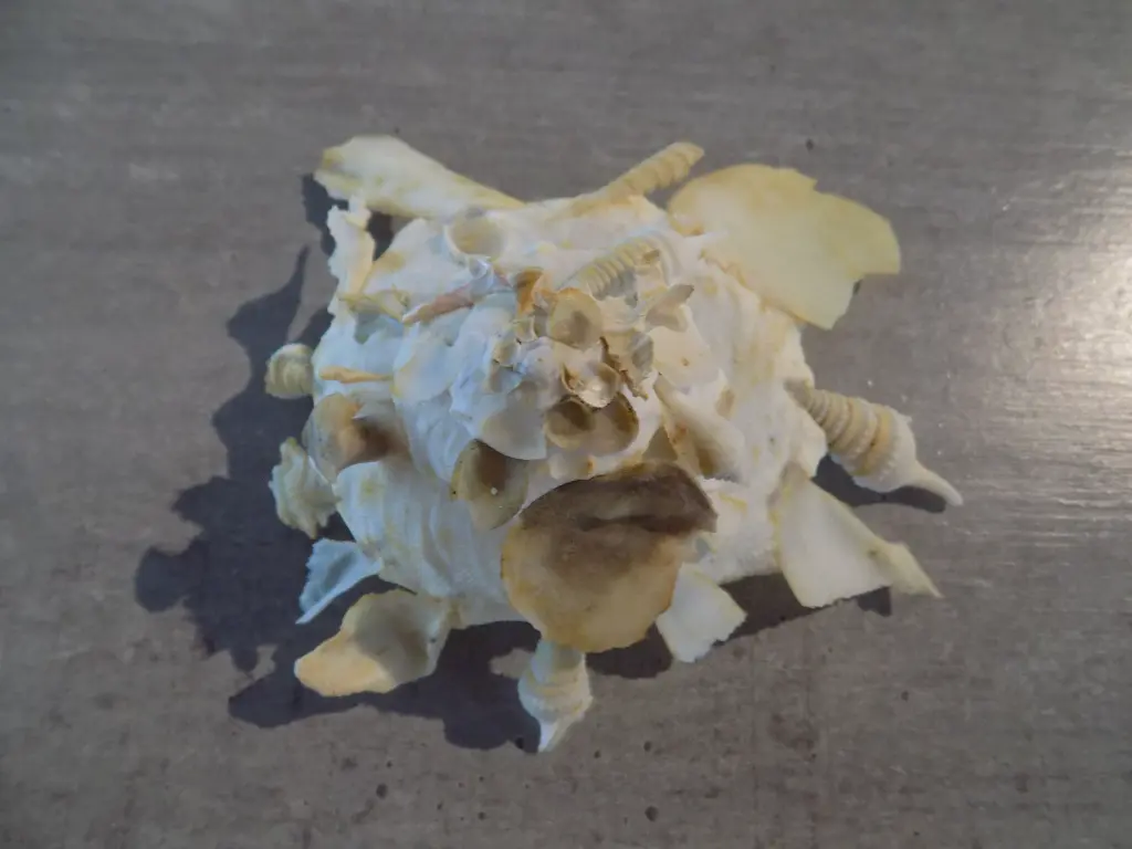 DSCN1260.webp