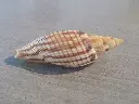 DSCN1290.webp