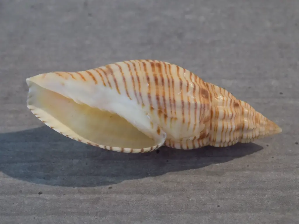 DSCN1297.webp